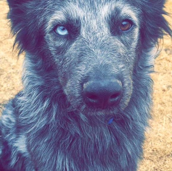 Meet your Posher, John - Picture 1 of 1